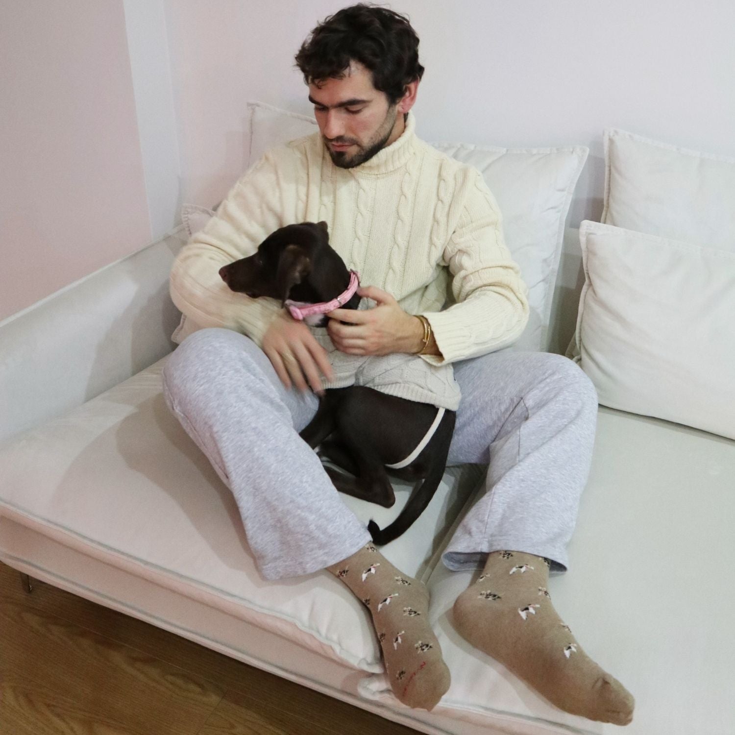 PET LOVERS Socks