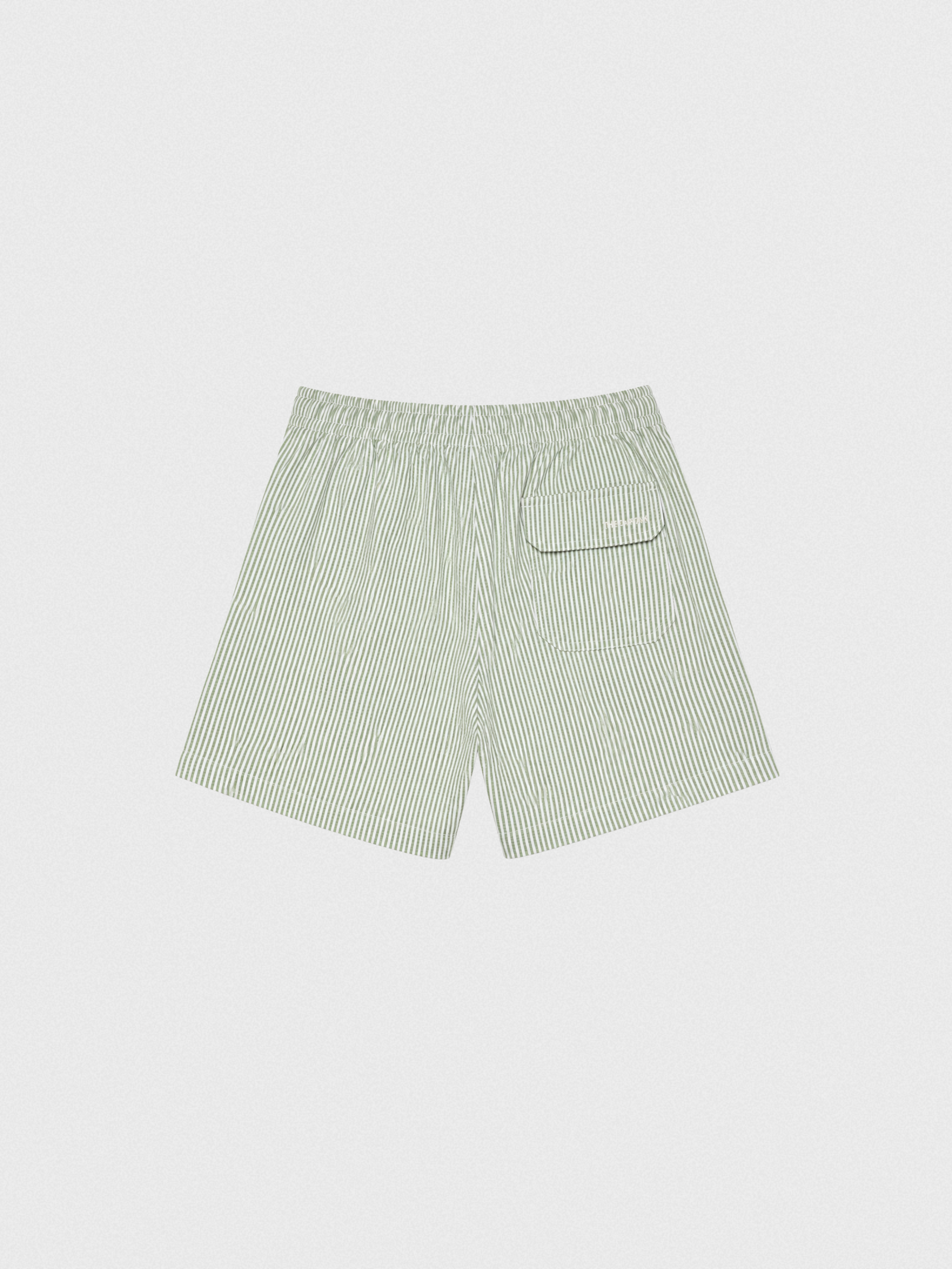 Swim Shorts TC1 - Green/White striped