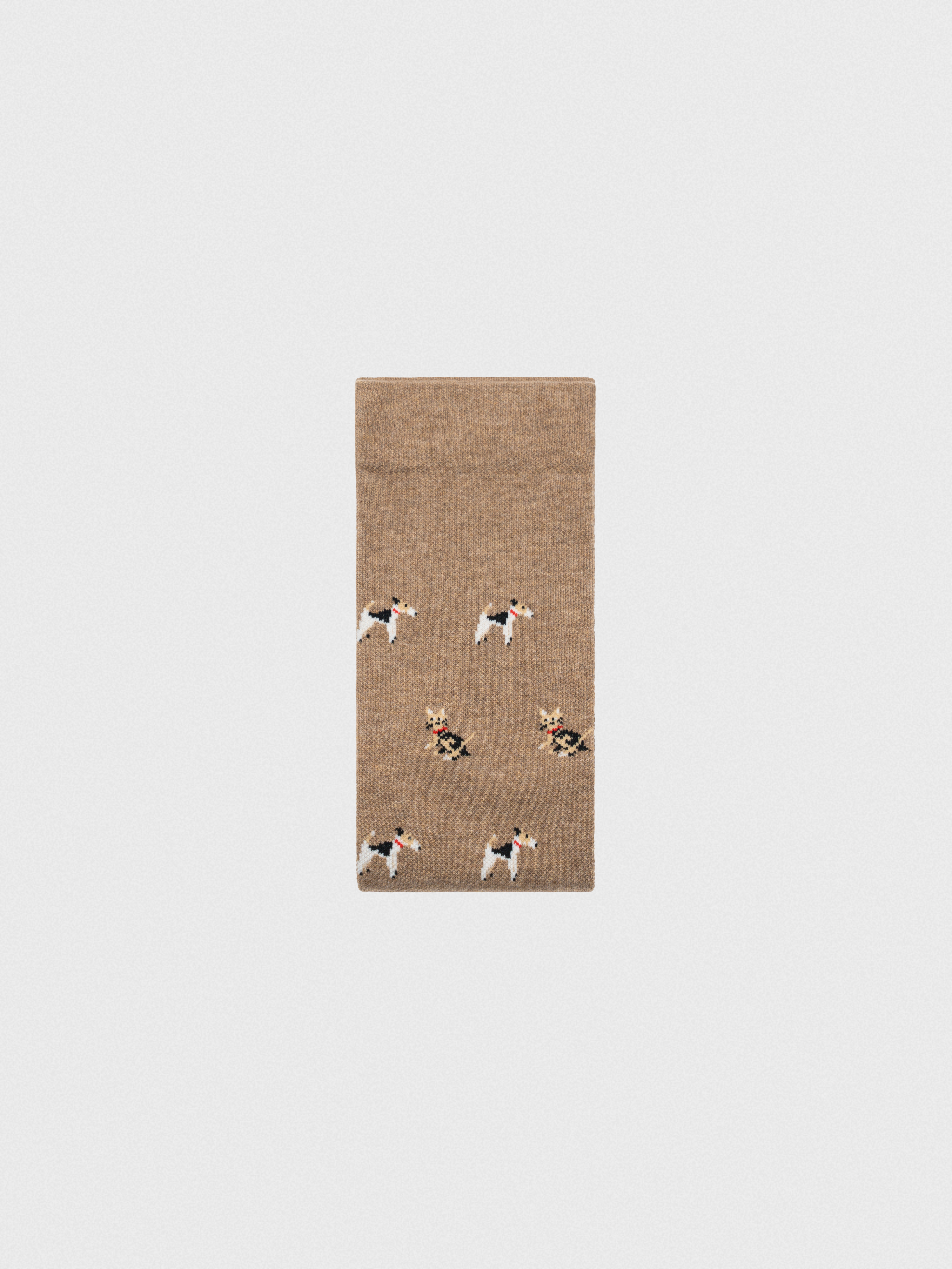 Compression Socks - Pet Lovers