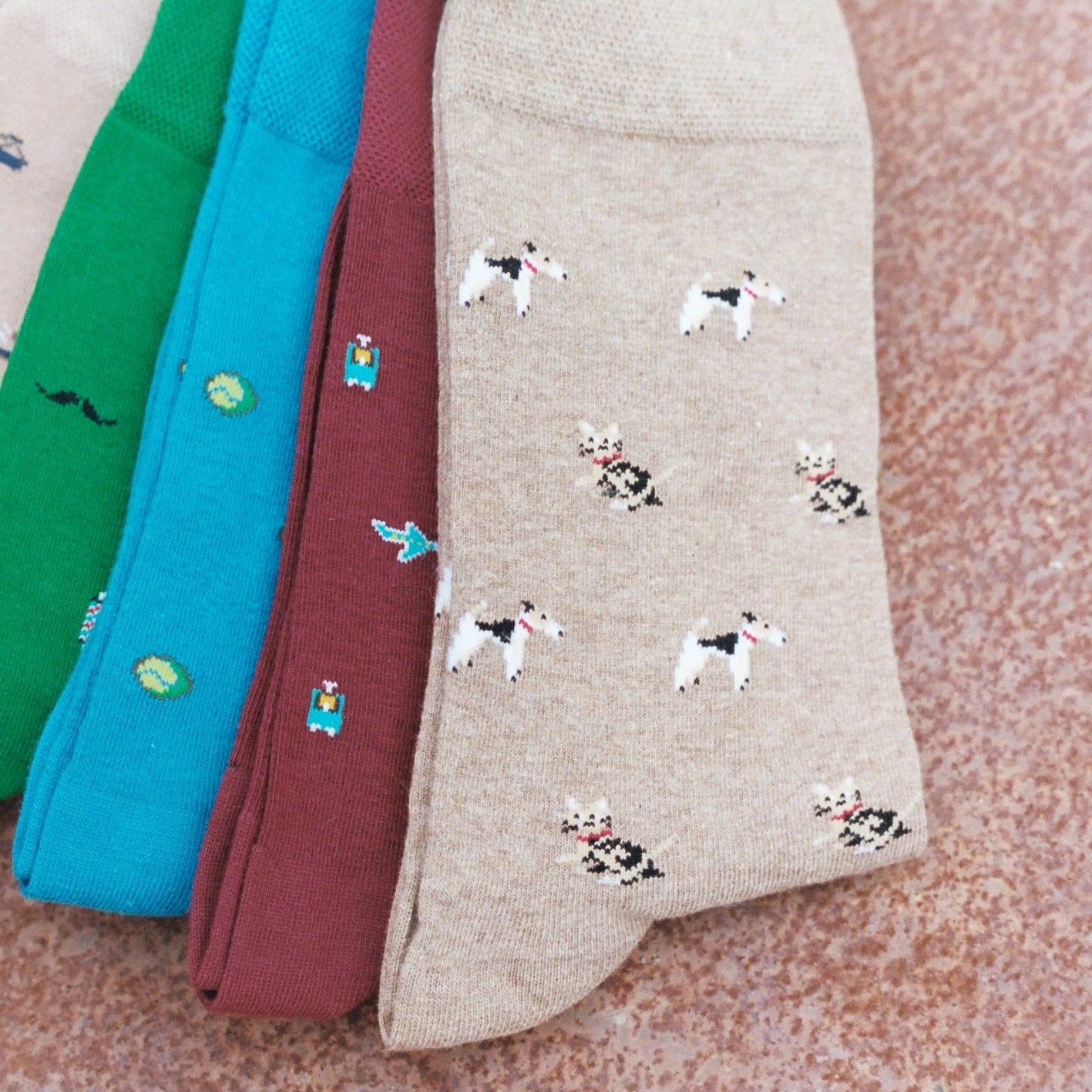 PET LOVERS Socks