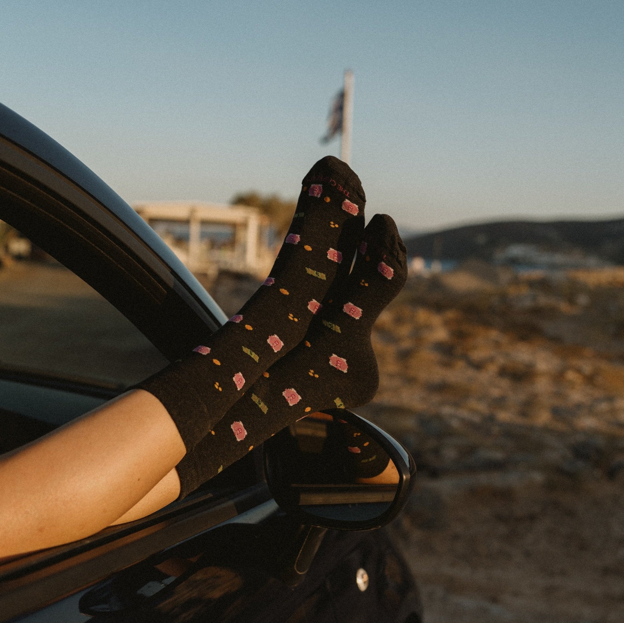 MONEY Socks