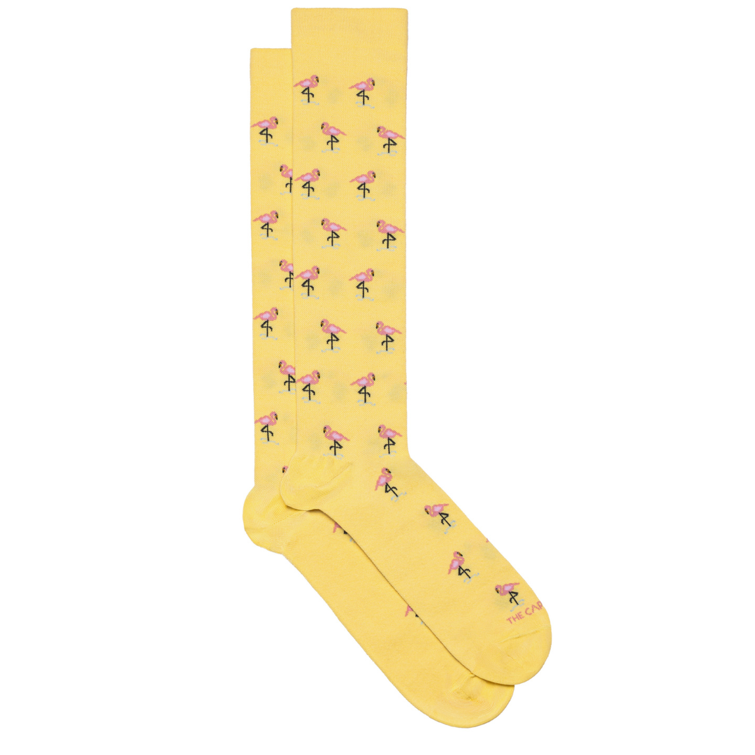 Compression Socks - Flamingo
