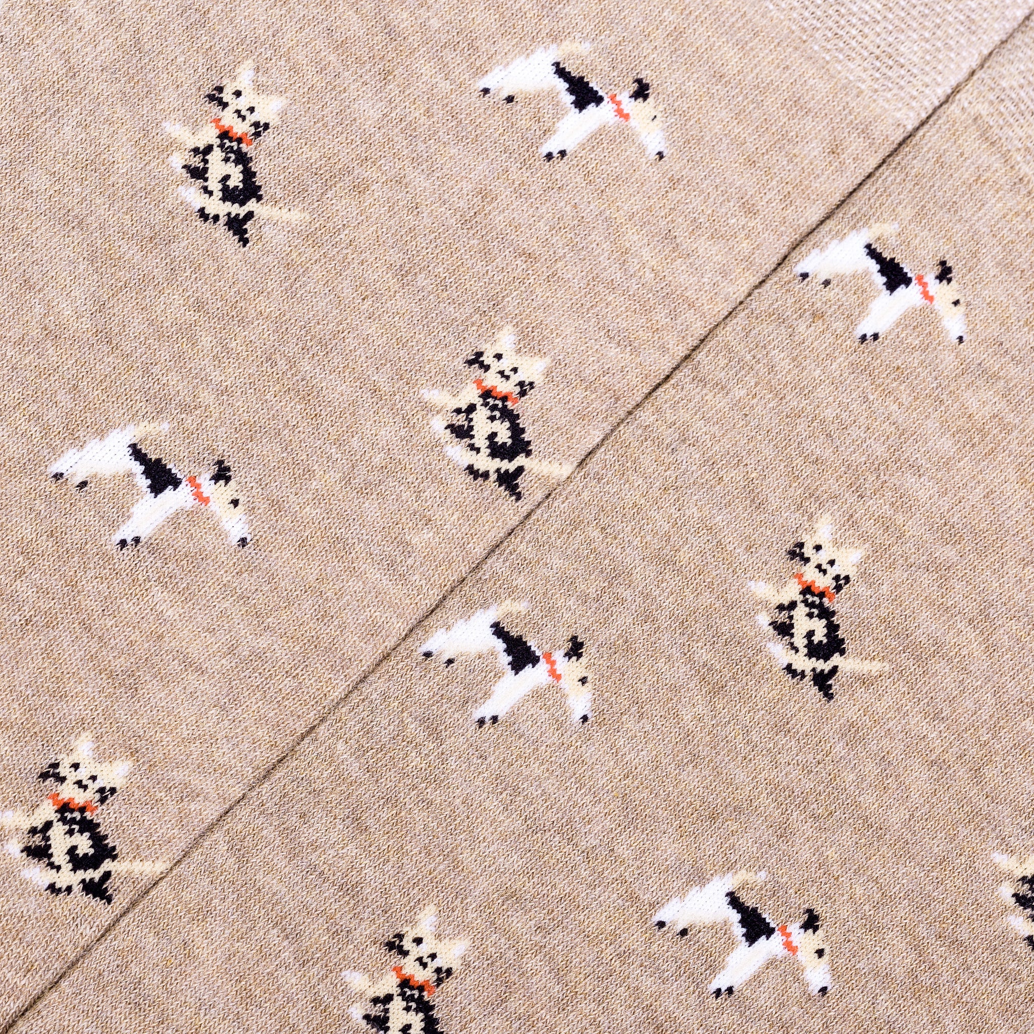 PET LOVERS Socks